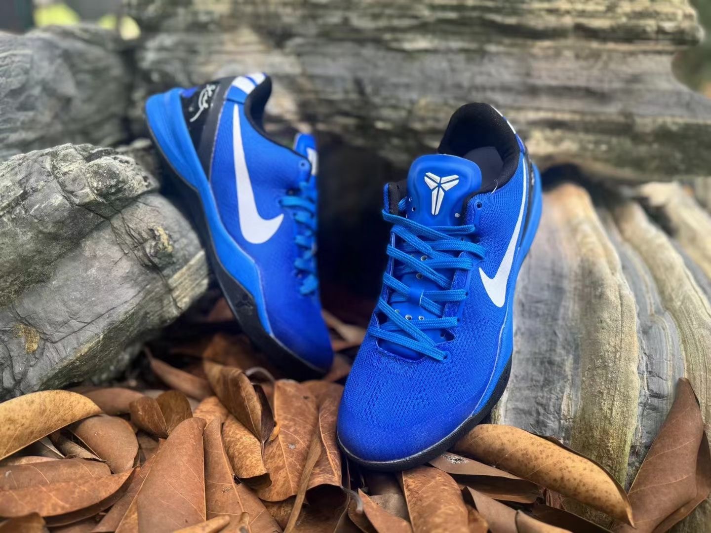 8 Colorway