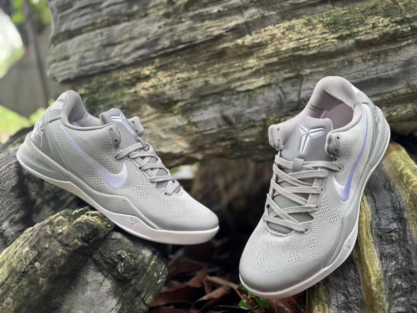 8 2024 Wolf Grey