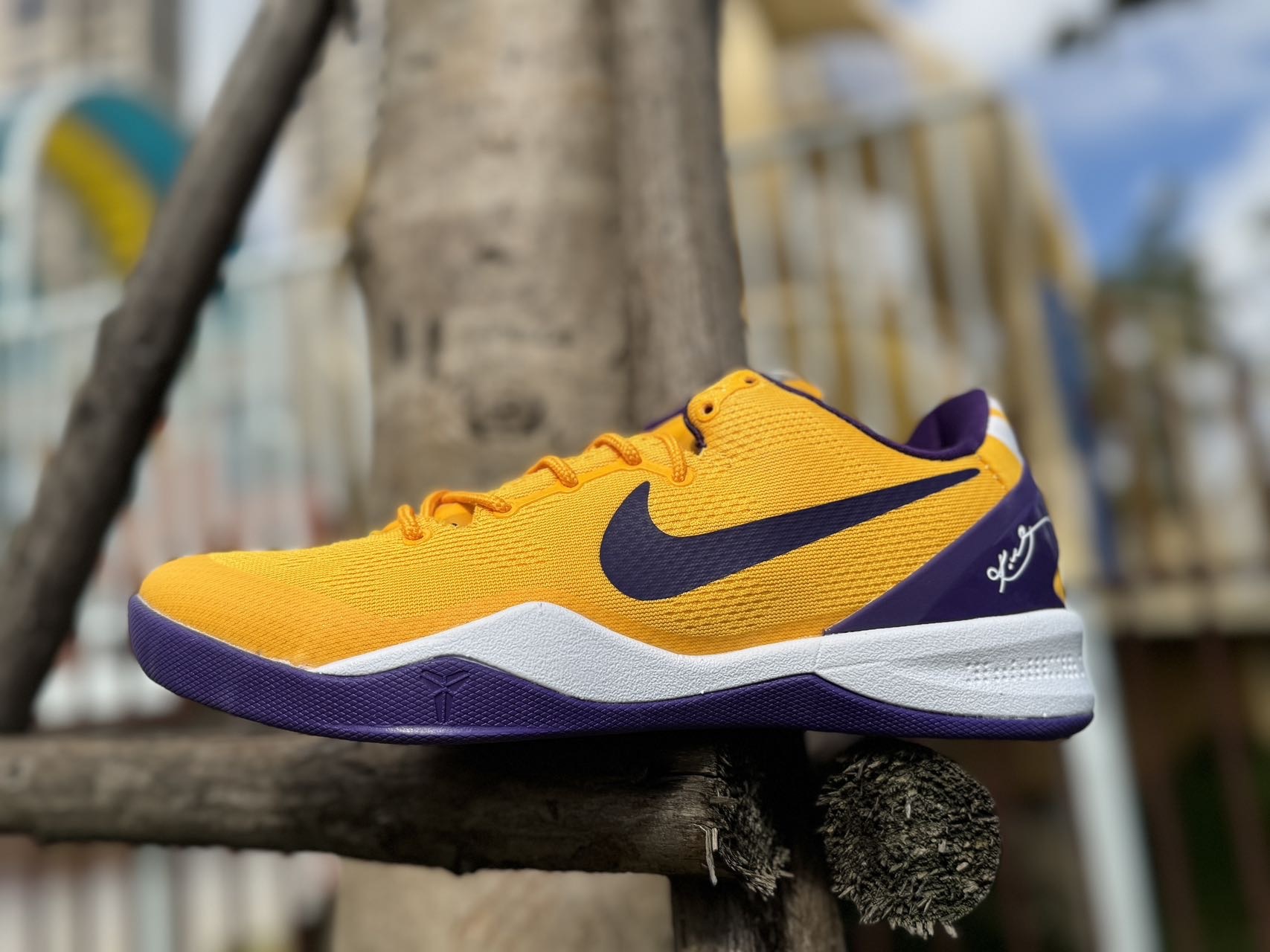 8 Gen Colorway