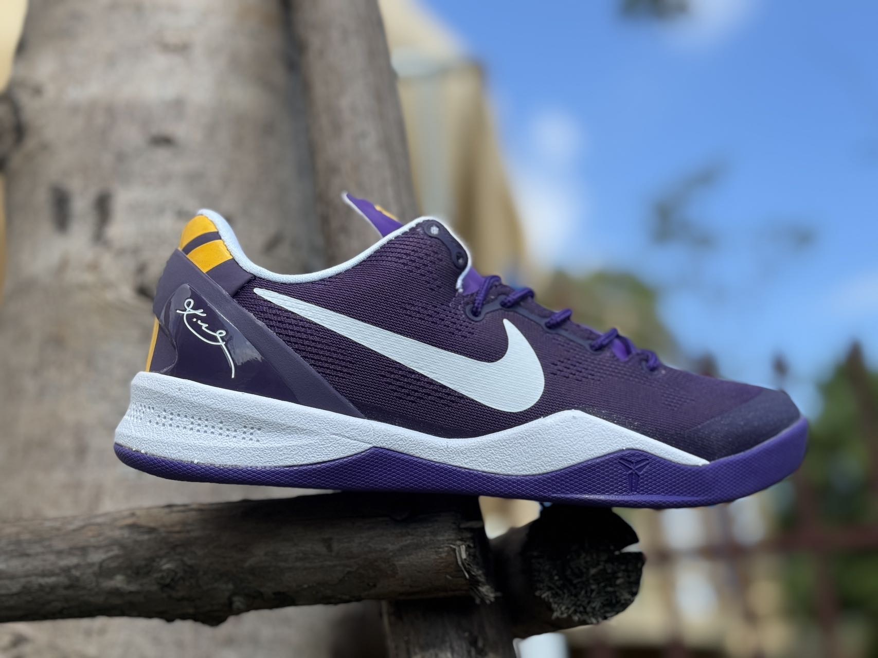 8 Gen Colorway