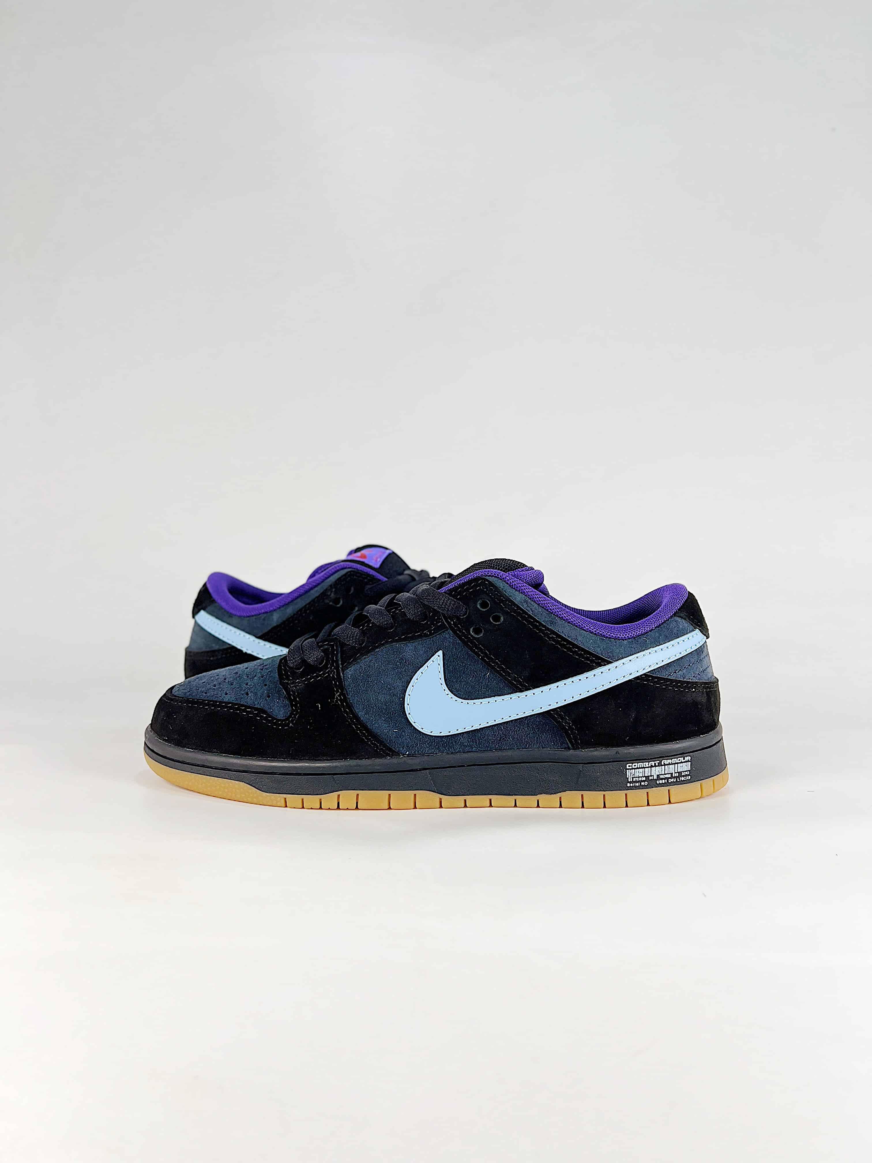 Nike Dunk SB Low New Colorway HQ1625 500