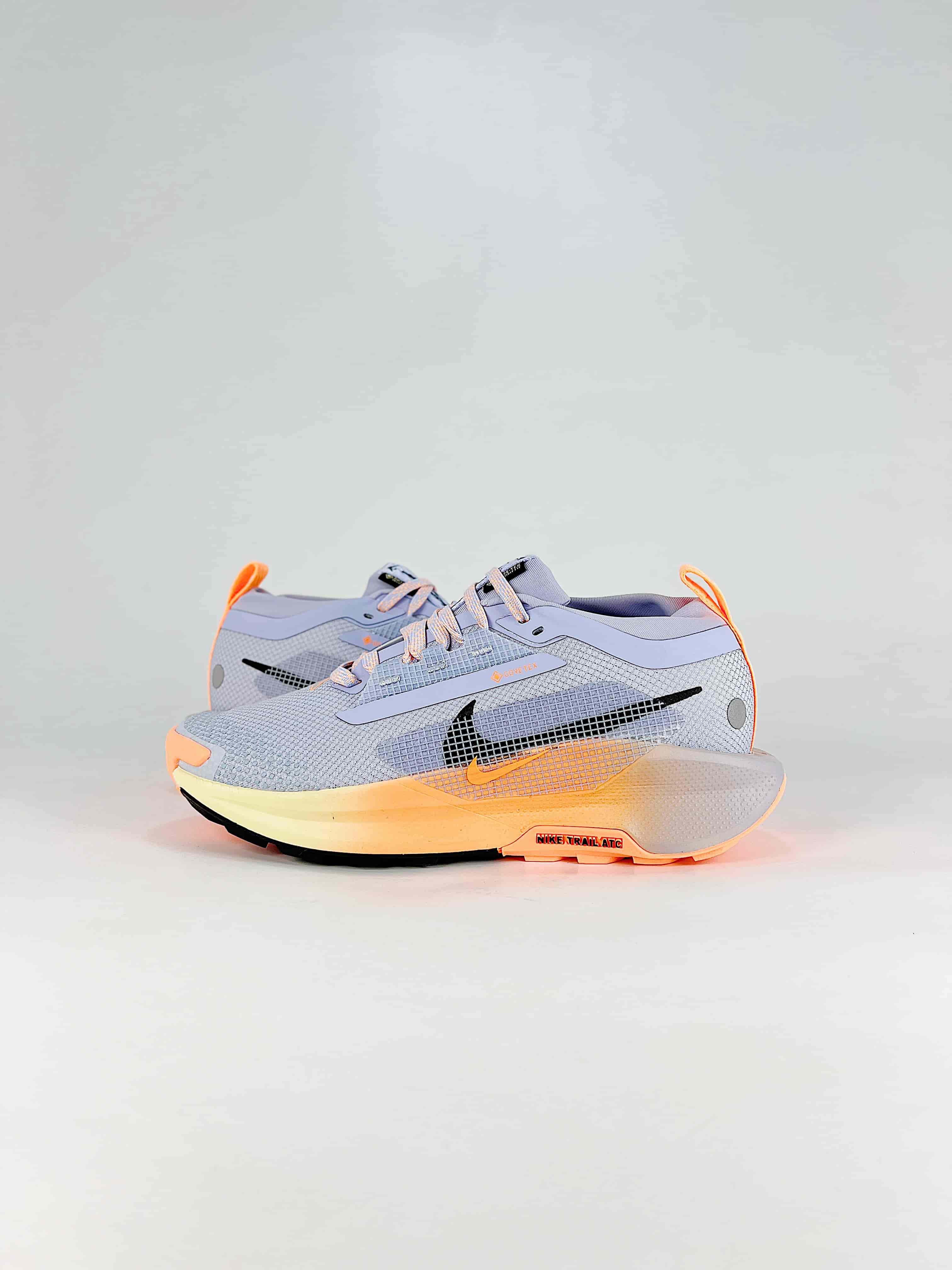 Nike Pegasus Trail 5 GTX Running ShoesStyle No. FQ0912 011